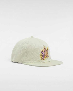 Beige Unisex Vans Skate Star Low Hats Australia | VN7439810