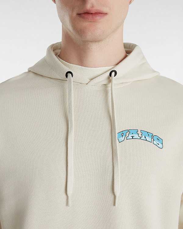 Beige Men Vans True Waves Hoodie Australia | VN6154982